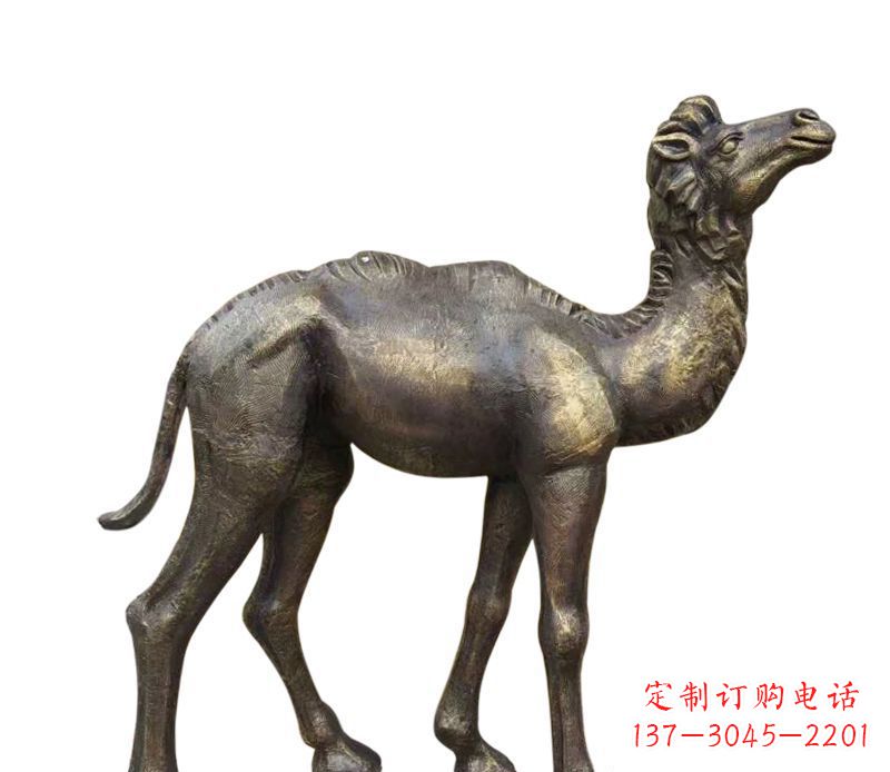 东营奇美洁净的骆驼铜雕