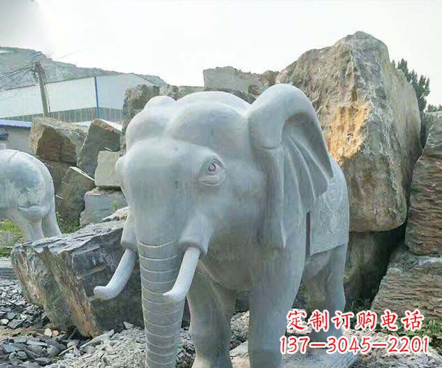 东营广场景观大理石大象石雕 (2)