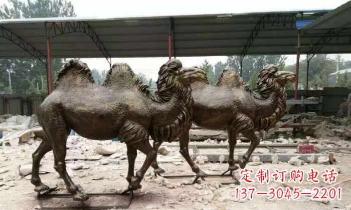 东营典雅优美的骆驼铜雕