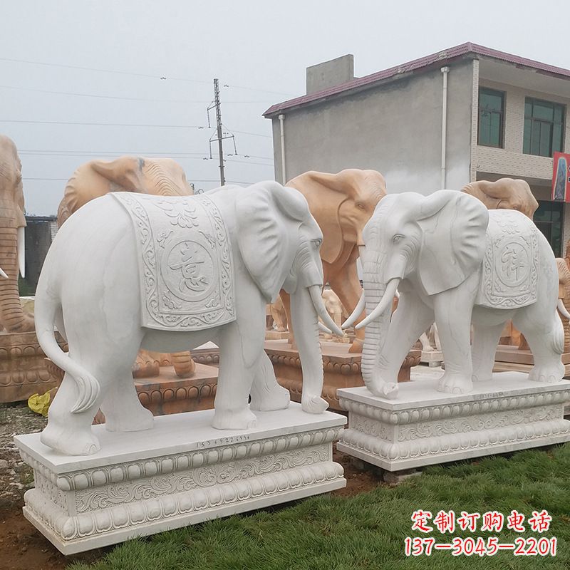 东营学校石雕大象