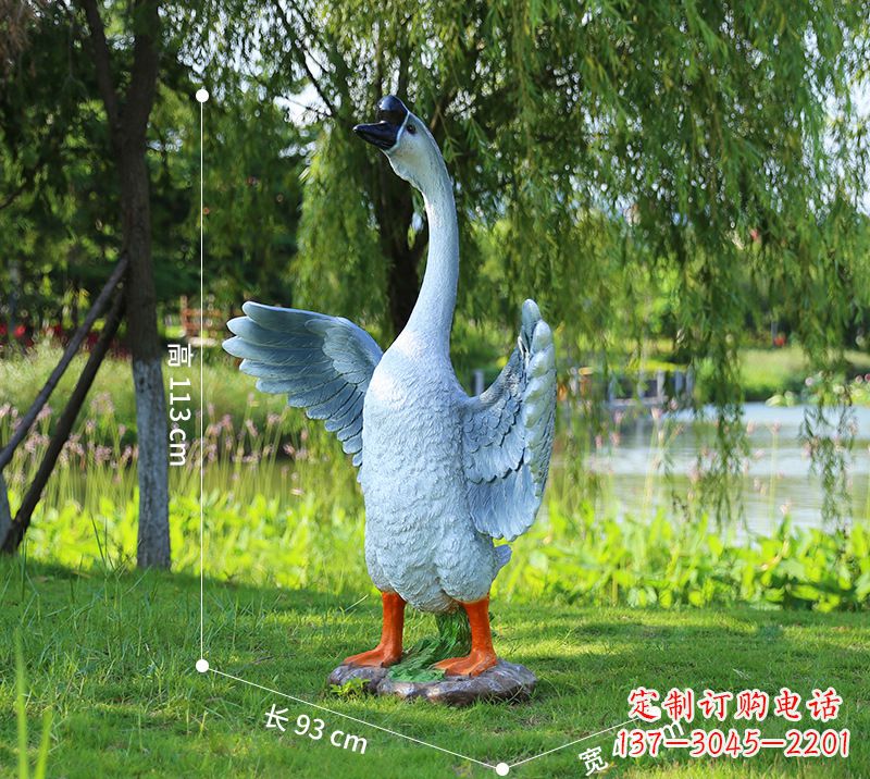 东营站立的灰色展翅天鹅